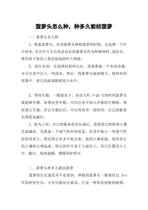 菠萝头怎么种,种多久能结菠萝