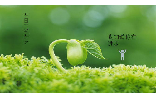 伟业顾问-北京湾中式豪宅营销策划思路报告110PPT-10M