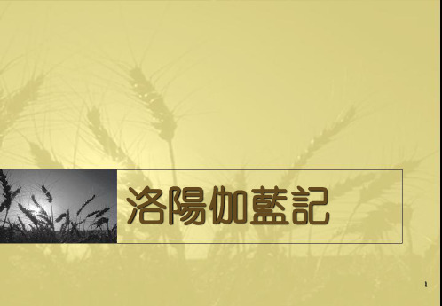 古代汉语-王子坊PPT幻灯片课件