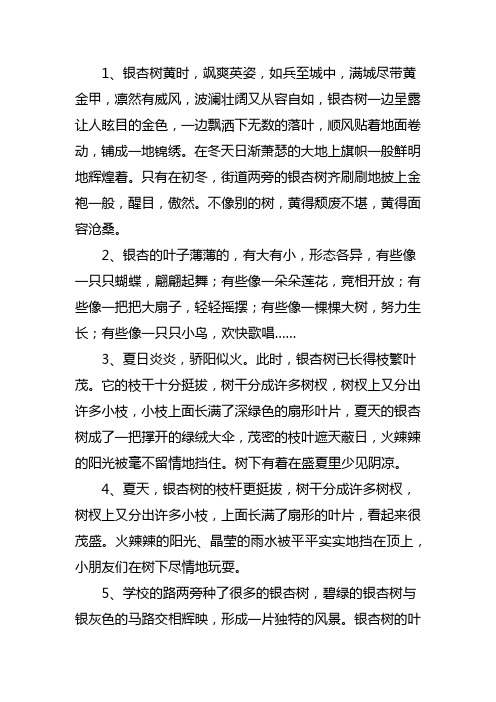 描写银杏叶的好词好句