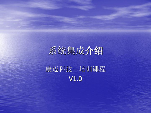 IT系统集成概述