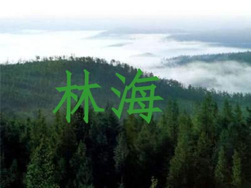 人教版小学语文六年级上册《选读课文 1 林海》公开课PPT课件_2