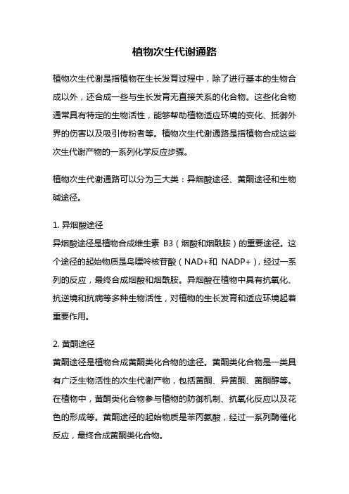 植物次生代谢通路