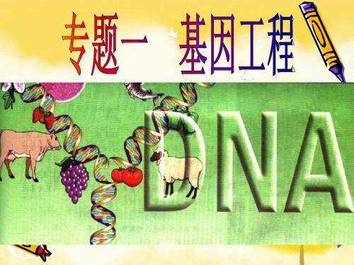 高二生物选修3基因工程第一节
