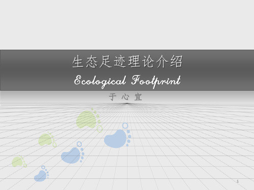 生态足迹理论PPT课件