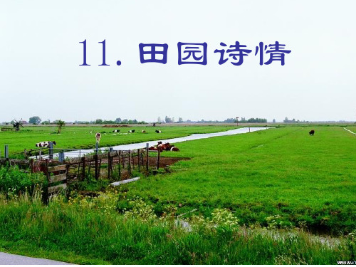 苏教版四年级语文上册11-田园诗情-精品PPT课件
