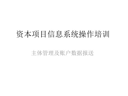 外汇局总局培训资本项目信息系统操作-主体及账户信息