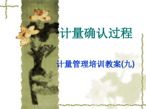 计量确认过程(九)
