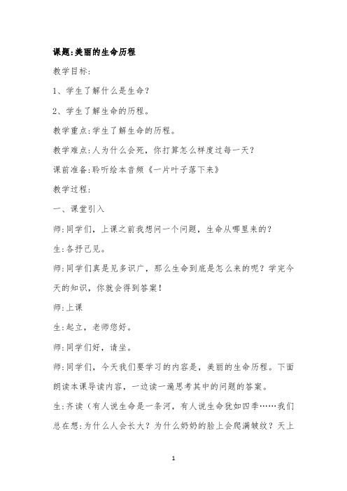 美丽的生命历程教案公开课
