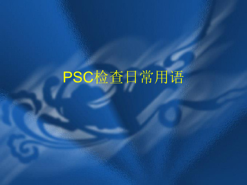 PSC常规检查用语汇总