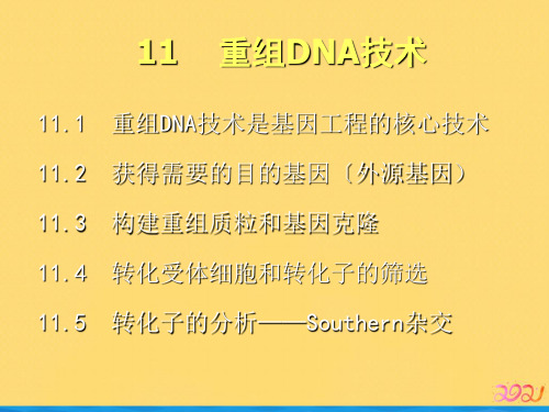 重组DNA完整版PPT