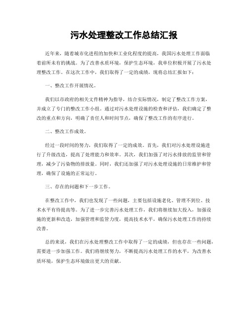 污水处理整改工作总结汇报