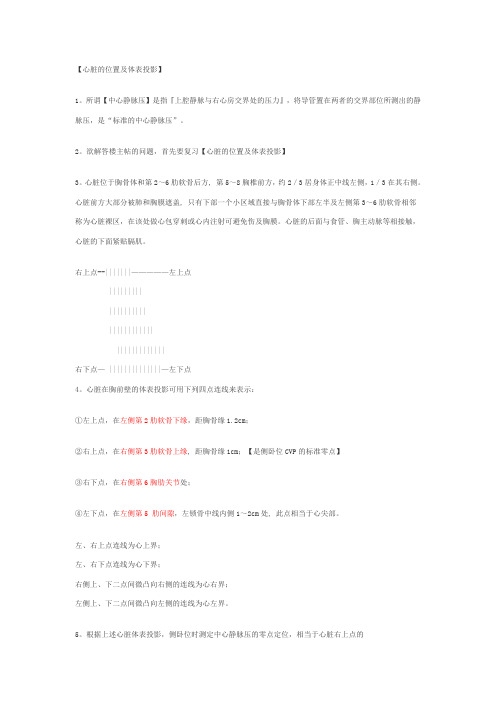 心脏的位置及体表投影