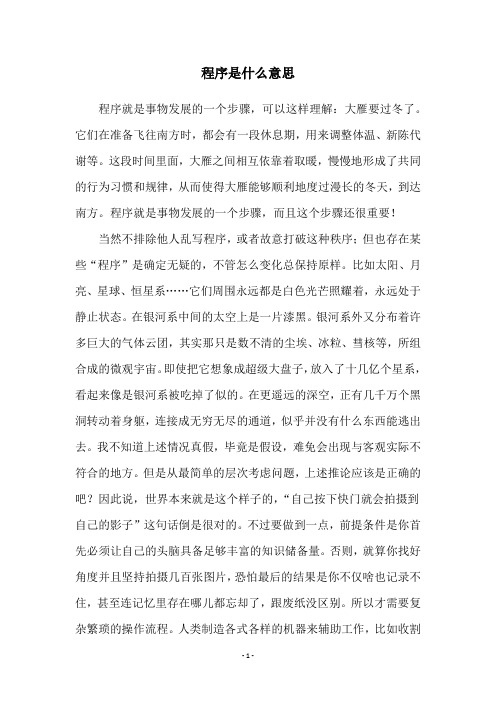 程序是什么意思