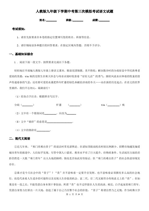 人教版九年级下学期中考第三次模拟考试语文试题