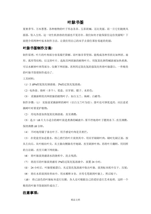 人教版二年级美术：叶脉书签-素材.doc