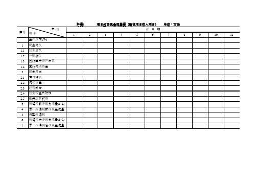 项目投资现金流量表