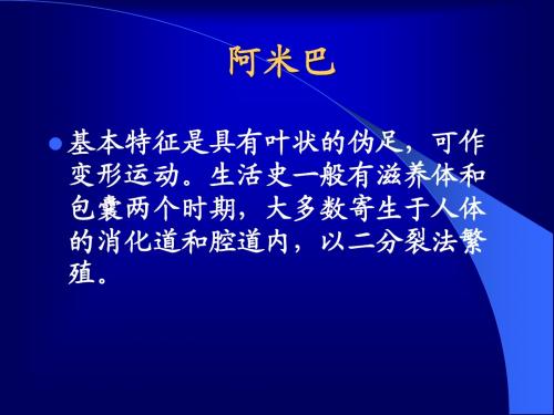 10阿米巴课件