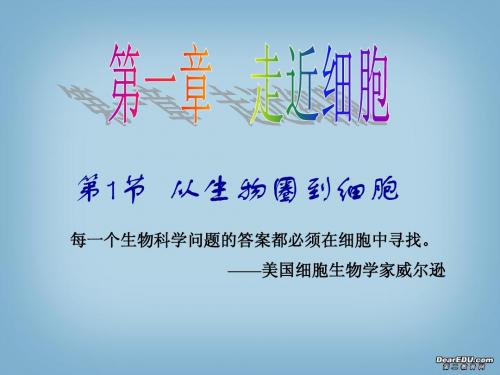 人教版教学课件1.1 从生物圈到细胞 周启梅