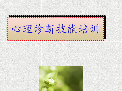 心理诊断技能PPT课件