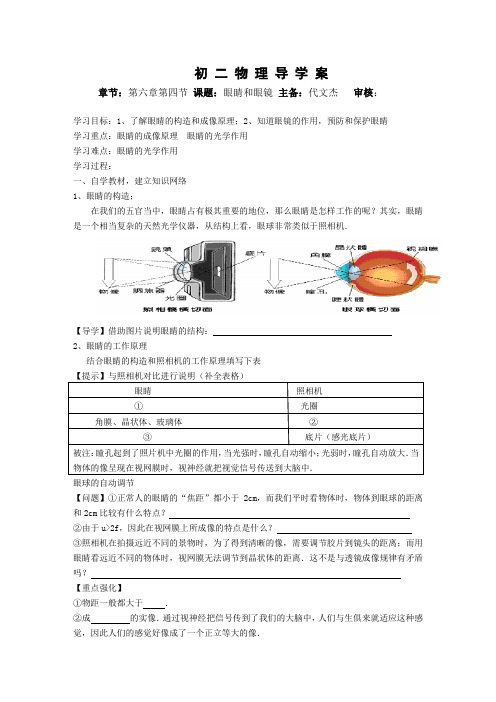 6.4 眼睛和眼镜