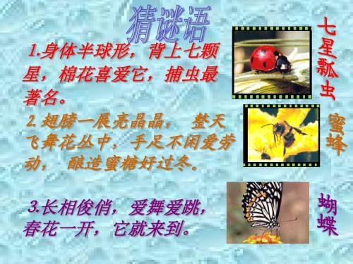 7.《金蝉脱壳》