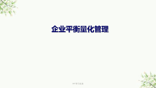 企业平衡量化管理课件