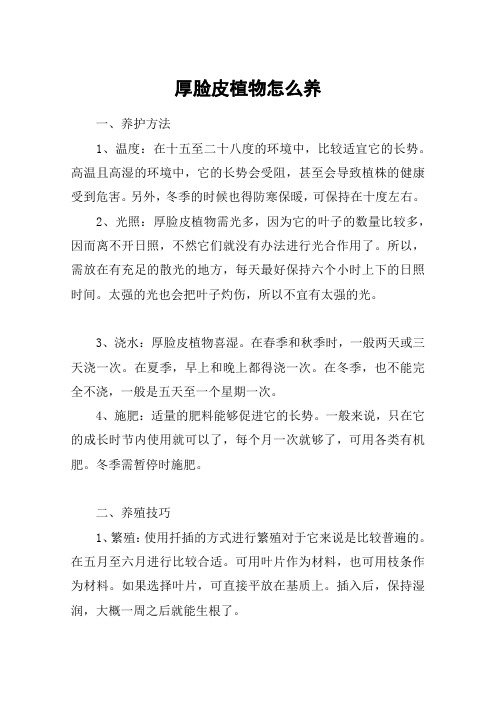 厚脸皮植物怎么养