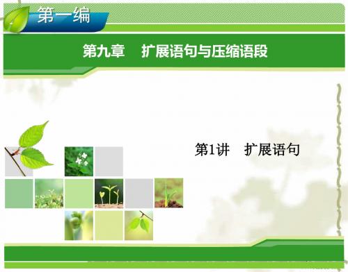 2014高考语文一轮复习指导课件-扩展语句与压缩语段：扩展语句.