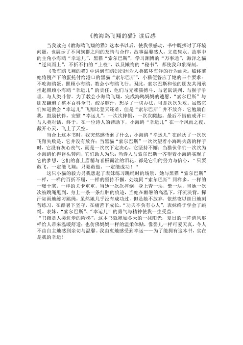 教海鸥飞翔的猫读后感——鲍雨彤