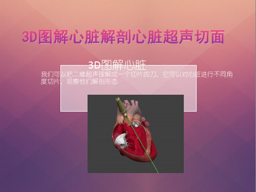 3D图解心脏解剖与心脏超声切面