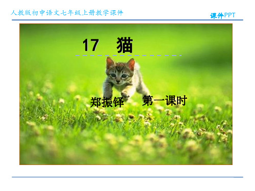 人教版初中语文七年级上册教学课件 17 猫 第1课时