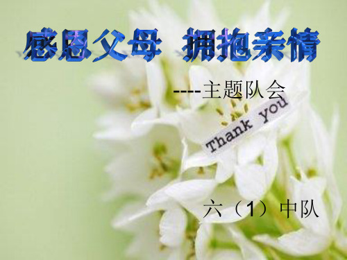 少先队活动课感恩父母ppt