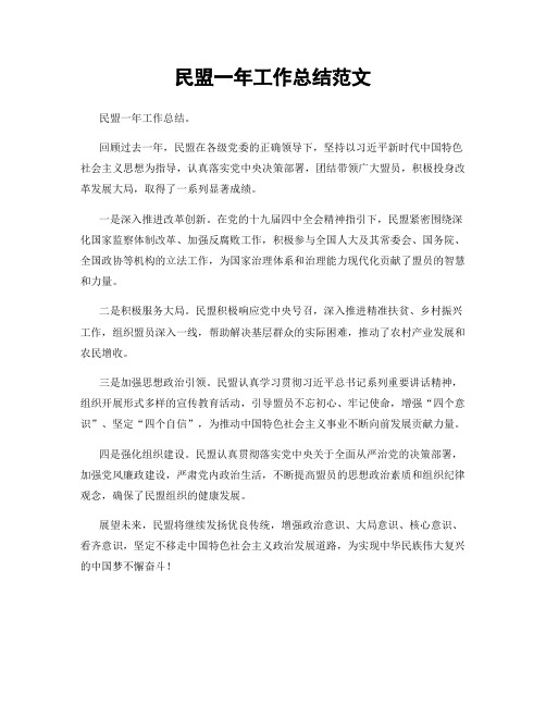 民盟一年工作总结范文