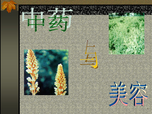 中药与美容(选)PPT课件
