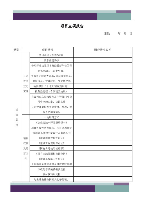 大项目项目立项审批表