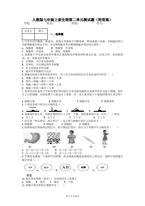 人教版七年级上册生物第二单元测试题(附答案)