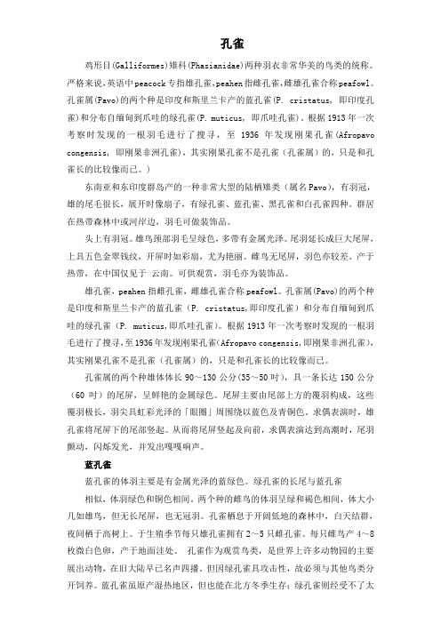 孔雀介绍