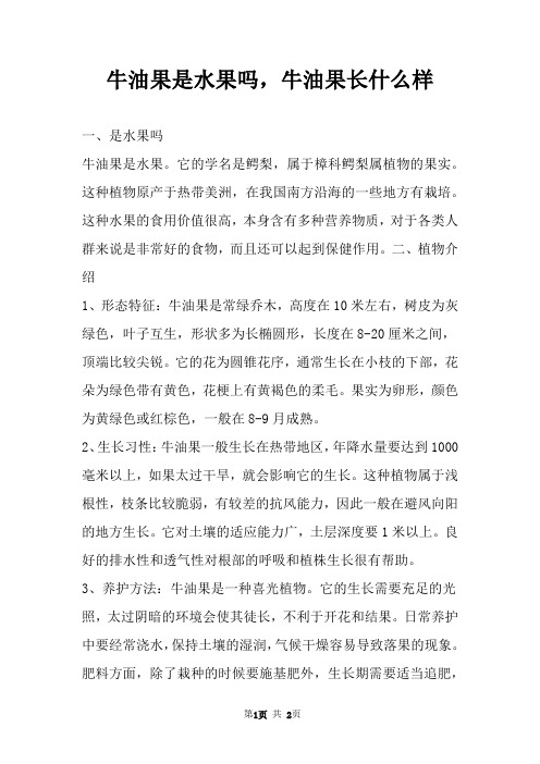 牛油果是水果吗,牛油果长什么样 