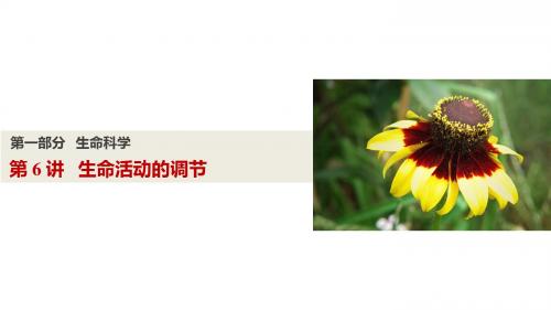 2018届中考科学第一轮复习第6讲 生命活动的调节