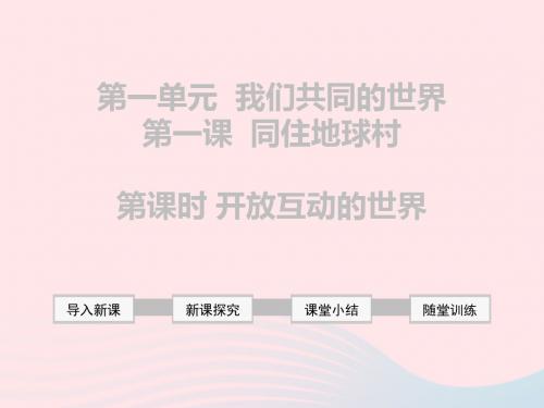 2019年九年级道德与法治下册全一册课件(人教部编版打包14套)
