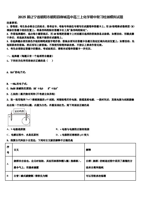 2025届辽宁省朝阳市朝阳县柳城高中高三上化学期中复习检测模拟试题含解析