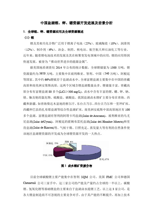 中国盐湖锂钾硼资源开发进展及前景分析