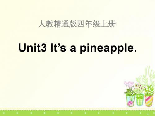 《It's a pineapple》PPT课件