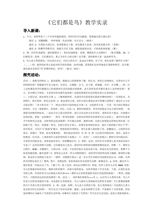 《它们都是鸟》教学实录