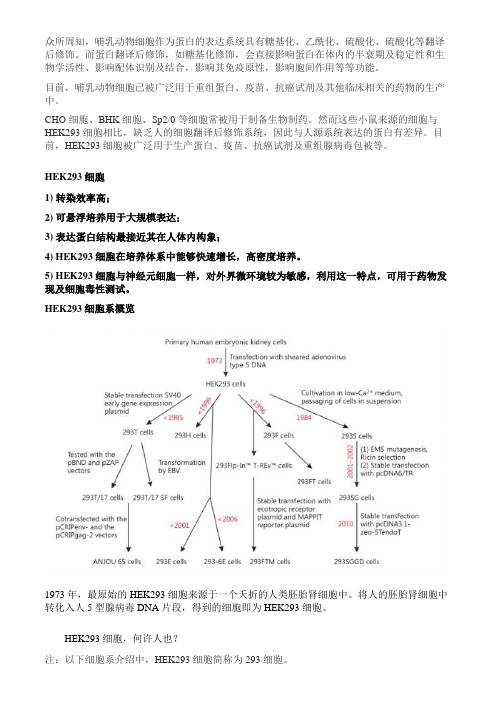 最全HEK293细胞系汇总