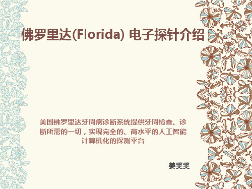 佛罗里达探针.