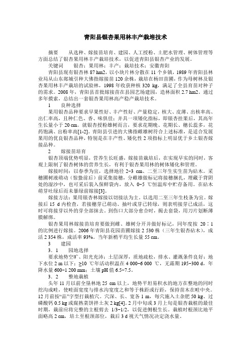 青阳县银杏果用林丰产栽培技术