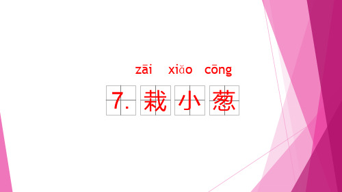 苏教版 科学 二年级下册    栽小葱
