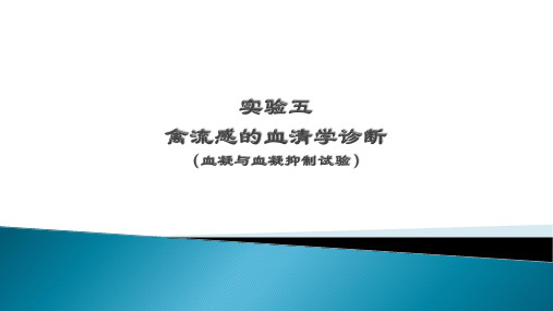 实验五禽流感血清学诊断